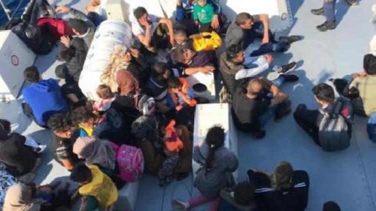 Bodrumda 51 kaçak göçmen yakalandı
