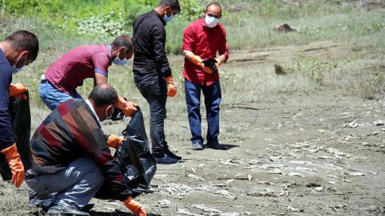 Ayvalı baraj gölünde toplu balık ölümleri