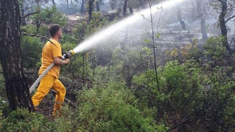 Bilecikteki orman yangını tamamen söndürüldü