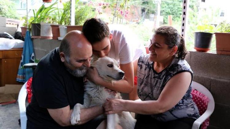 Kayıp köpekleriyle kavuşma anı milyonlarca kez izlenen ailenin mutluluğu