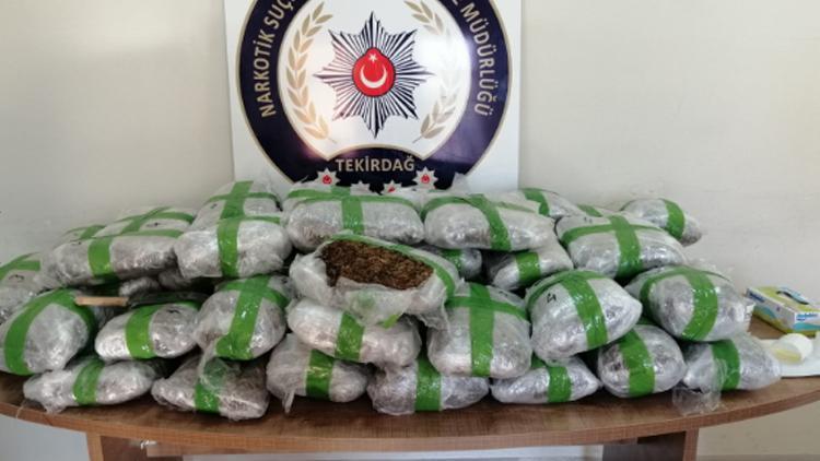 Tekirdağda 67 kilogram skunk ele geçirildi