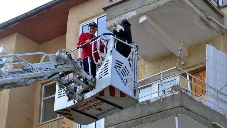 Balkondaki kediyi itfaiye kurtardı