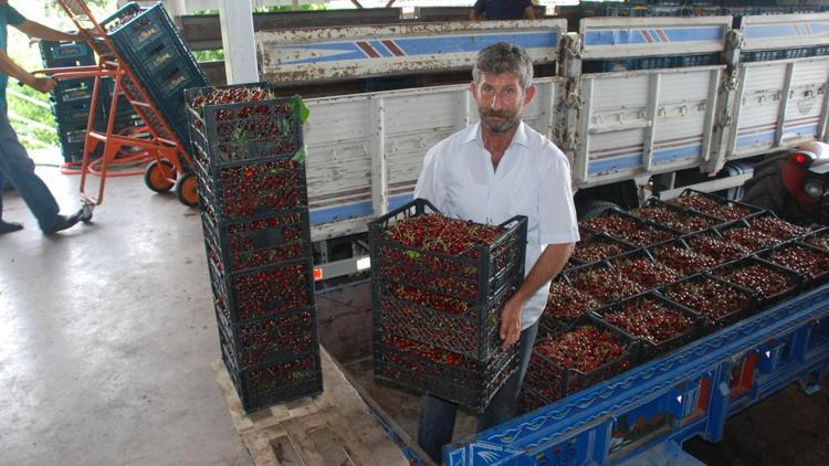 Tokattan çıkıyor Avrupa ve Rusya tercih ediyor