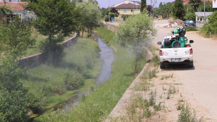 Yalova’da ilaçlama çalışmaları aralıksız sürdürülüyor