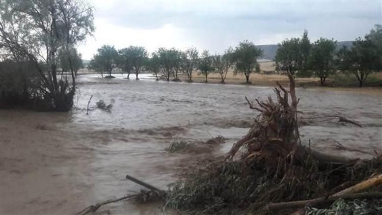 Son dakika... Doğu Karadeniz için sel uyarısı