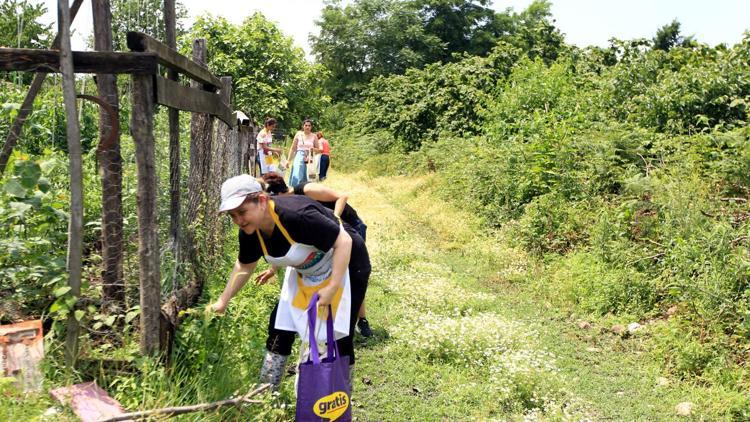 Samsun'da Ot Yemekleri Festivali kapsamında ot toplama yarışması yapıldı