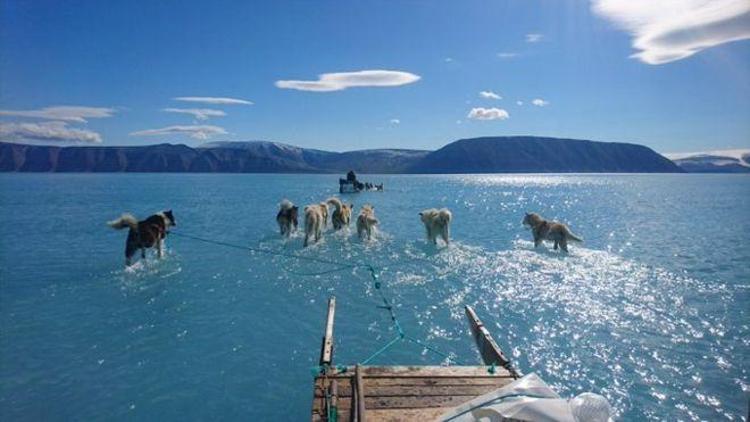 Grönlanda yolculuk: Buzul eridi, uzmanlar zor durumda kaldı
