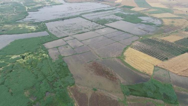 Bandırma ve Karacabeyde binlerce dönüm tarım arazisi su altında kaldı