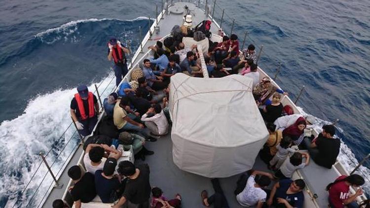 Muğlada, 114 kaçak göçmen yakalandı