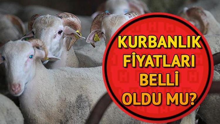 Kurbanlık fiyatları belli oldu mu Kurban Bayramı ne zaman