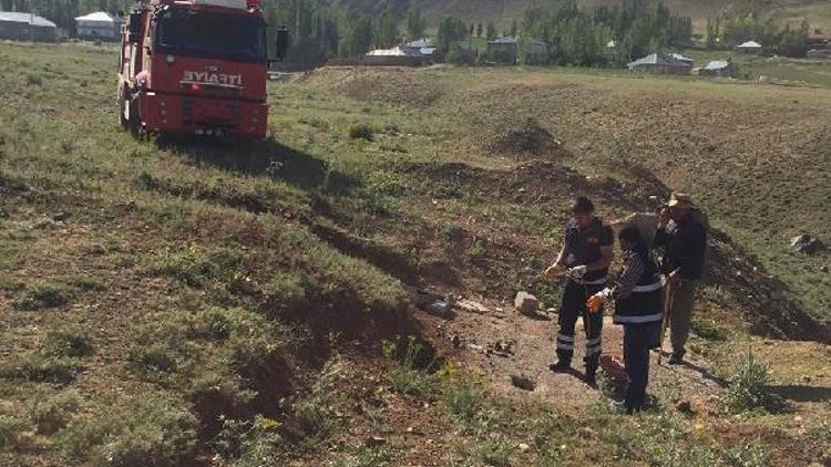 Foseptiğe düşen yavru köpekler kurtarıldı