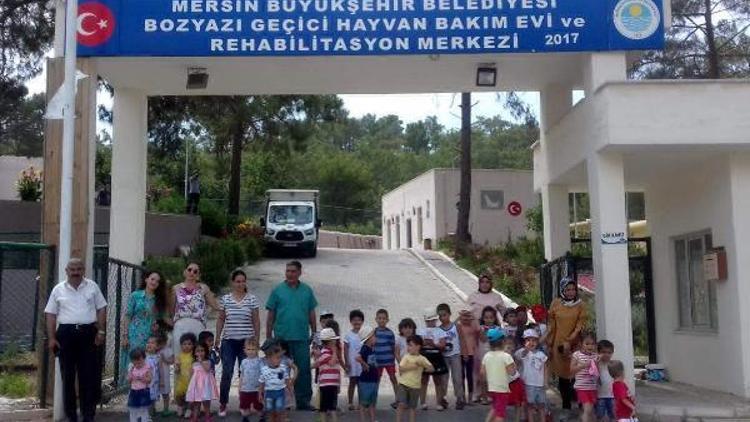 Miniklerden hayvan sevgisi