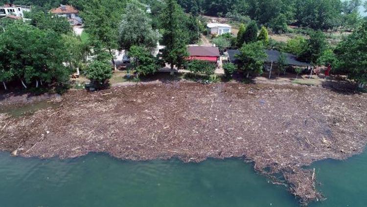 Selin sürüklediği ağaç parçaları ve çöp, Sapanca Gölünü kapladı