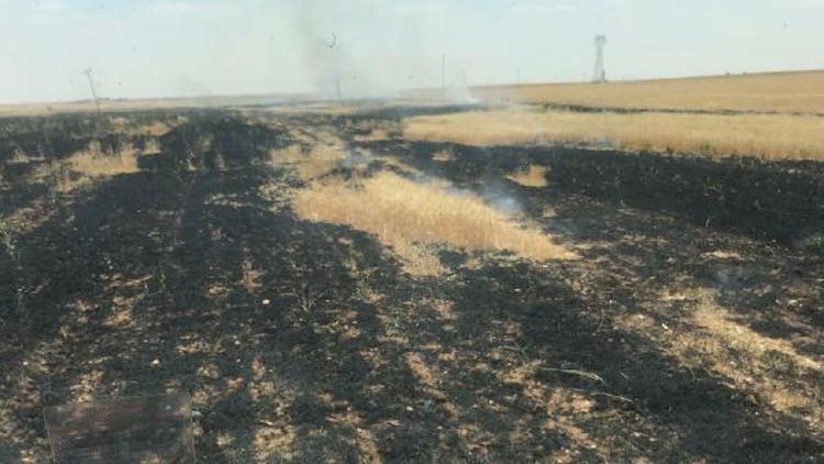 Nusaybinde 50 dönüm buğday ekili alan yandı