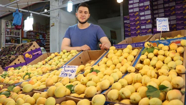 ‘Sarı altın’ tezgaha indi