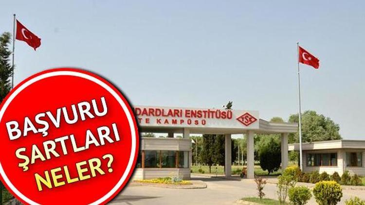 TSE 13 bilişim personeli alacak Başvuru şartları neler