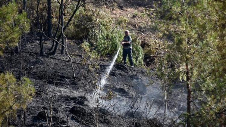 Alanyada orman yangını; 5 dönüm alan kül oldu