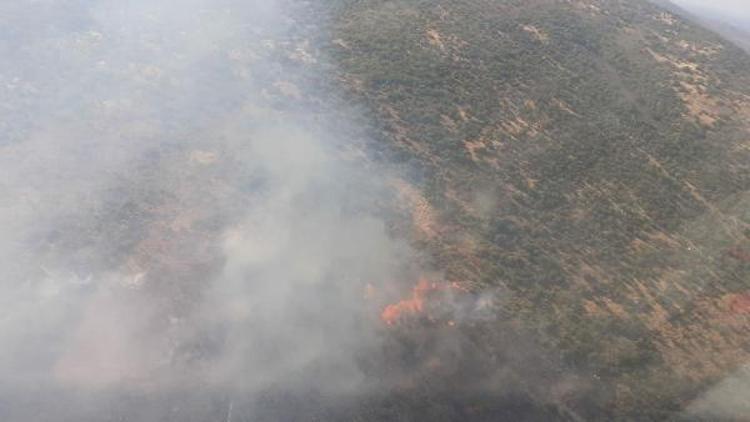 Urlada 1 hektarlık makilik alan yandı