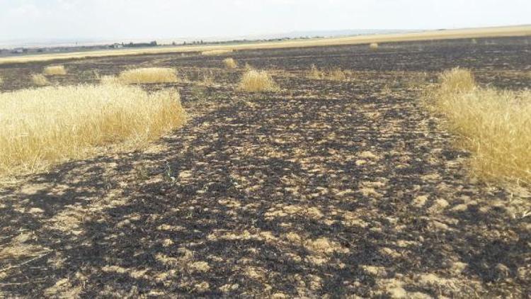 Kuluda 20 hektarlık ekili arazı yandı