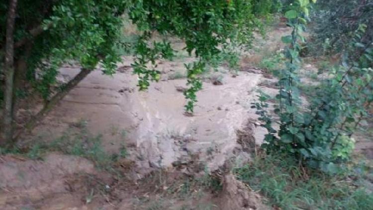 Karacasuda şiddetli yağmur ve rüzgar bahçelere zarar verdi