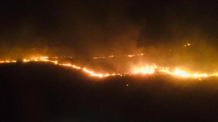 Erganide orman yangını 1.7 hektar alanda etkili oldu