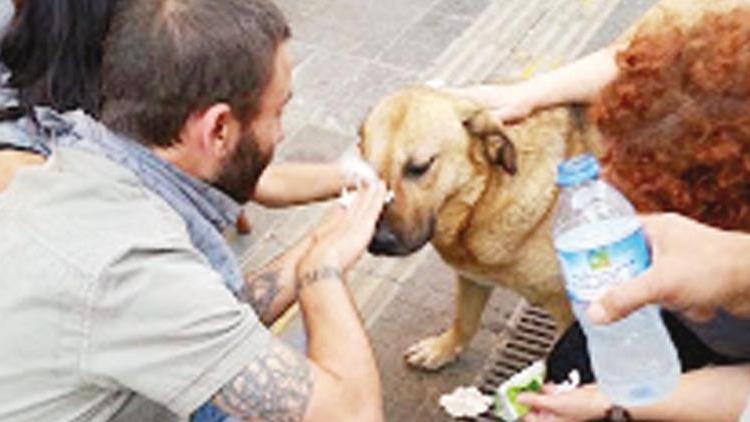 Taksim’in ‘Eylem’i hayatını kaybetti