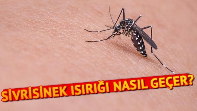 Sivrisinek ısırığı nasıl geçer Sivrisinek ısırığına ne iyi gelir