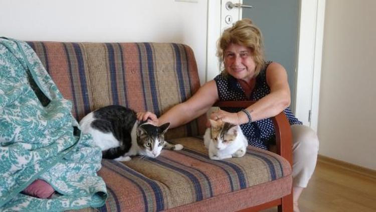 Komşusu mahkemeye verdi, engelli kedileriyle evinden ayrıldı