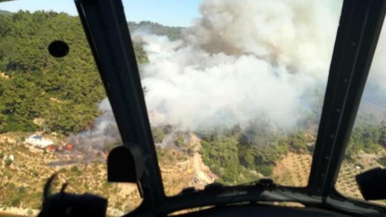 İzmirde ormanlık ve makilik alanda yangın