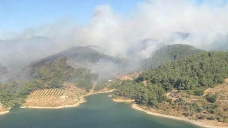 İzmir Orman Bölge Müdürü’nden ’mangal’ uyarısı