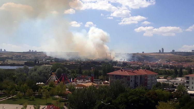 Ankarada orman yangını...