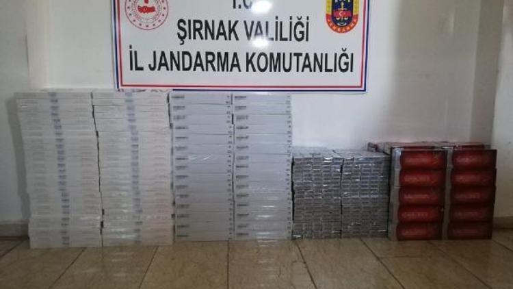 Cizrede 7 bin 520 paket kaçak sigara ele geçirildi