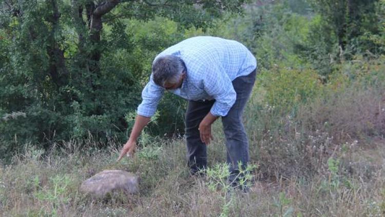 Yol kenarında bulunan lahit korumaya alındı