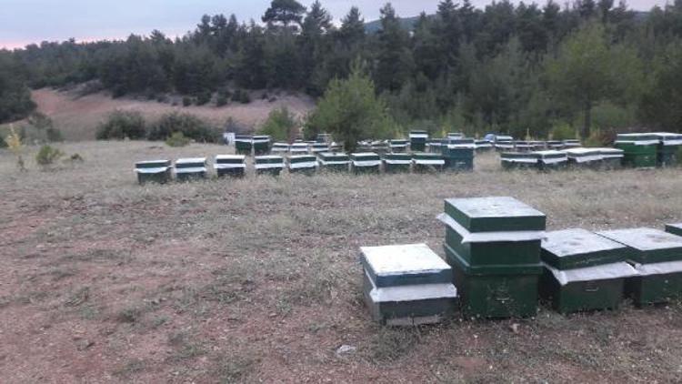 300 bin liralık arı kovanı hırsızları yakalandı