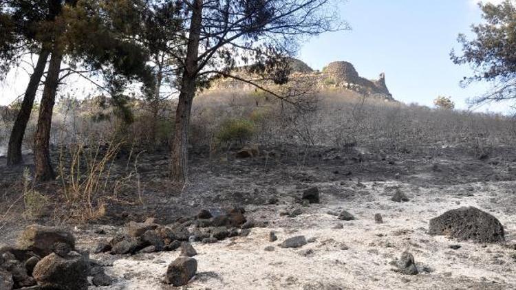 Tarihi Toprakkale Kaleside yangın