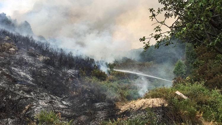 Valilik: Aydostaki orman yangınını 2 çocuk çıkardı