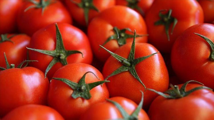 En çok domates üretildi