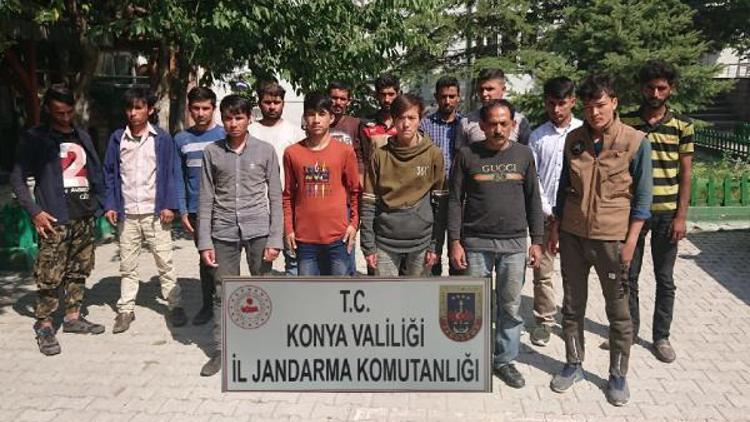 Konyada yakalanan 15 kaçak göçmene 53 bin lira ceza