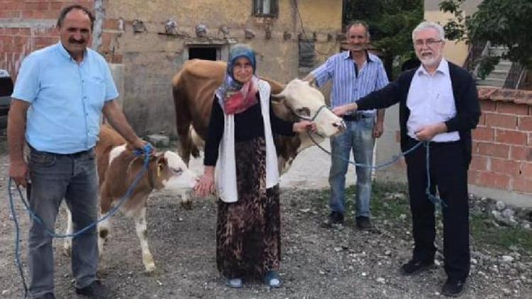 Hayvanları telef olan aileye Türk Kızılayı yardım etti