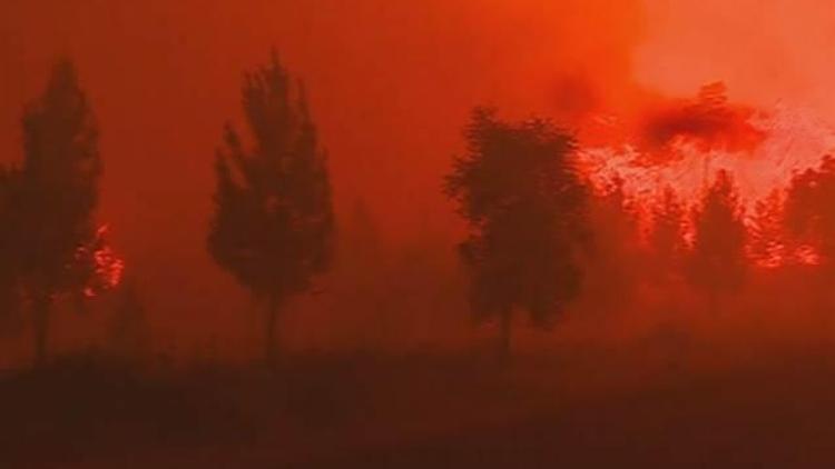 Portekizdeki orman yangını
