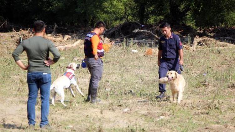 Düzcedeki selde ölenlerin sayısı 5e çıktı, 2 kişi aranıyor