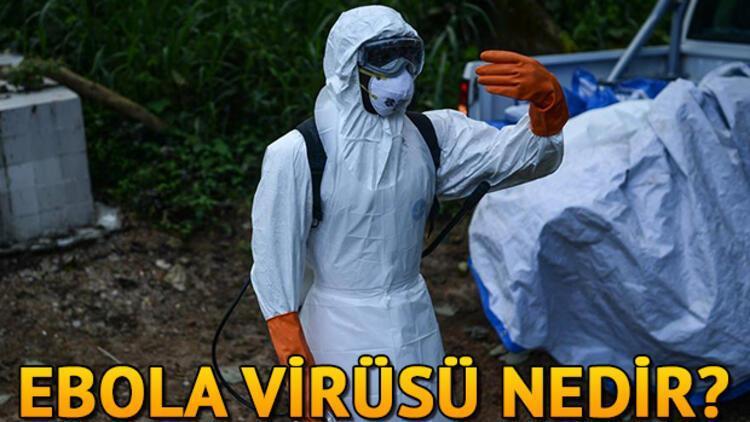 Ebola virüsü nedir Ebola virüsü nasıl bulaşır