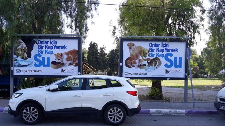 İzmirli belediyelerden sokak hayvanları için seferberlik