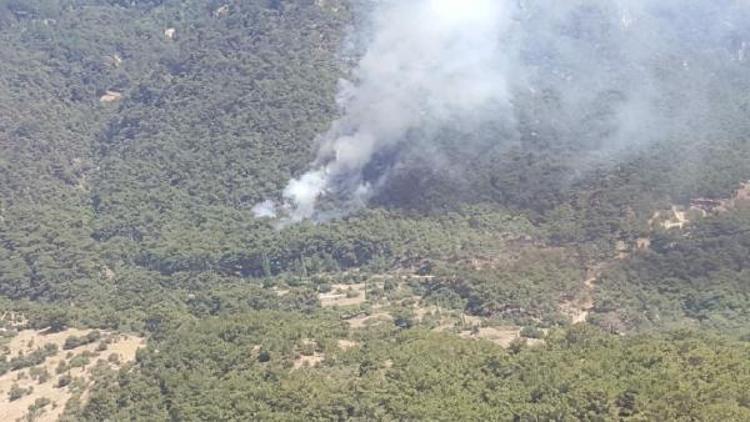 İzmirde tabiat parkı yakınında orman yangını