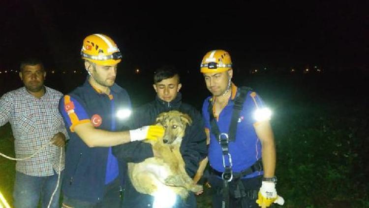 Su kuyusuna düşen köpeği AFAD kurtardı