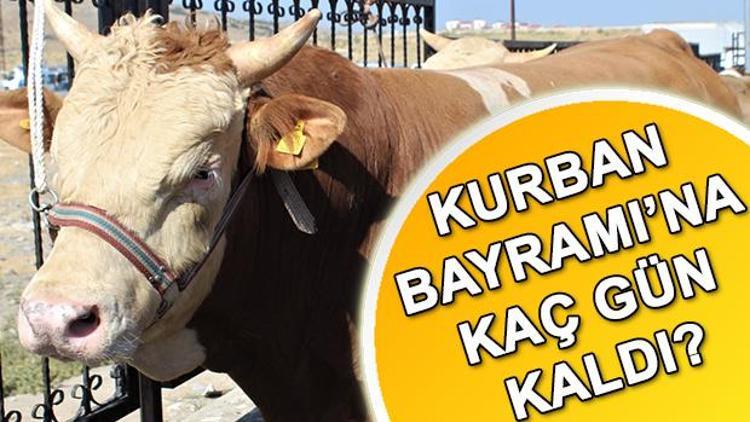 Kurban Bayramı ne zaman başlıyor Kurban Bayramı tatili 9 gün olacak mı