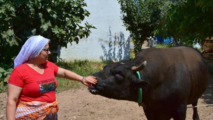 Çok yönlü kadın muhtar, takdir topluyor