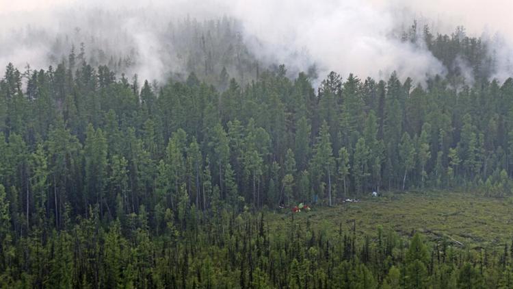 Rusyanın ormanları yanıyor