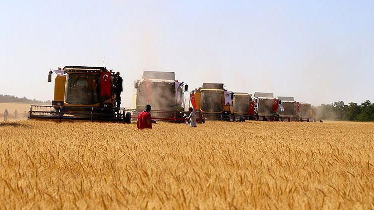 TMO Genel Müdürü Güldal: Fiyat dalgalanması olursa gerekli operasyonu yaparız