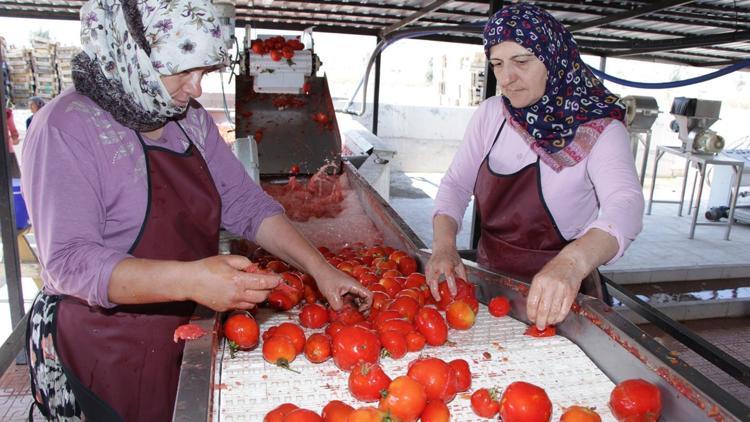 Kentin üreten kadınları çalıştayda buluşacak